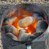Kokosbrikett-Test - Artikelbild