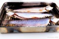 Fische im Tischräucherofen